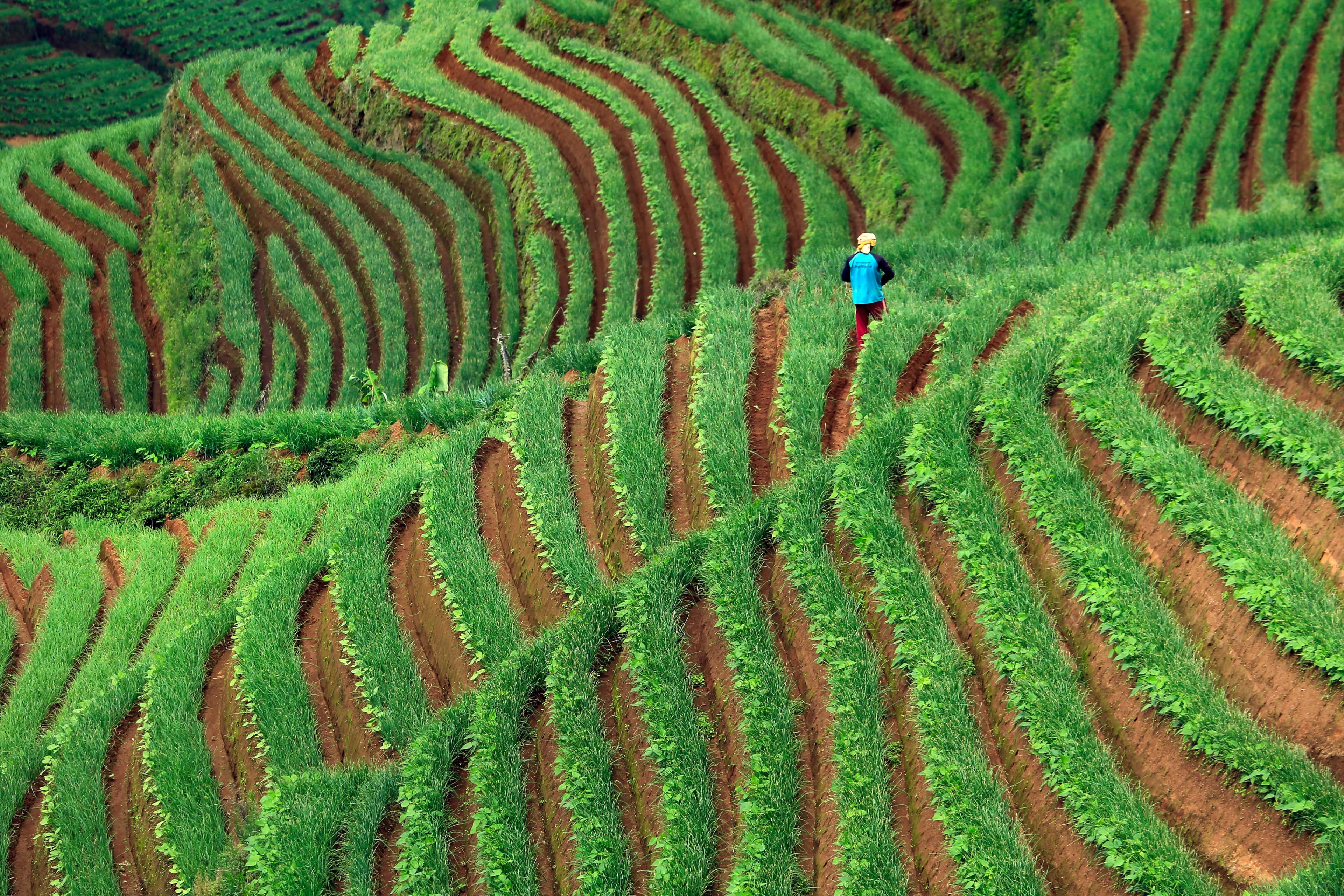 Buying land in Kenya in 2025